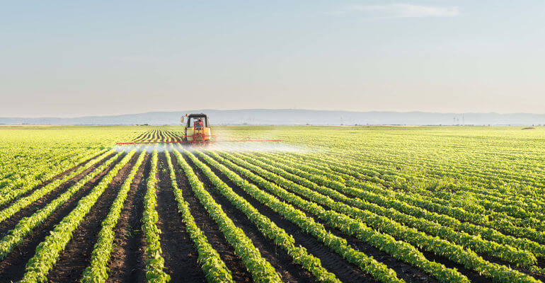 Реферат: Правовий порядок регулювання земельних ділянок сільськогосподарських підприємств та фермерських господарств
